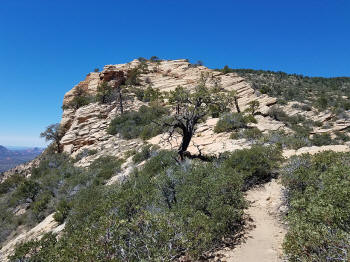 Bear Mountain Trail - Last Section to Fourth Peak 404
