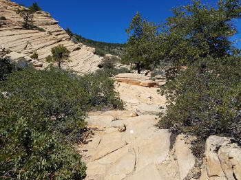 Bear Mountain Trail - Last Section to Fourth Peak 409