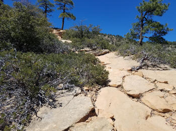 Bear Mountain Trail - Last Section to Fourth Peak 418