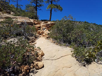 Bear Mountain Trail - Last Section to Fourth Peak 420
