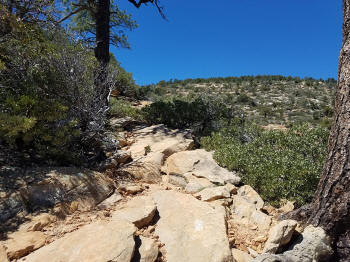  Bear Mountain Trail - Last Section to Fourth Peak 421