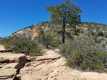 Bear Mountain Trail - Section 3 - Ascent to the Final Trail Peak - 501