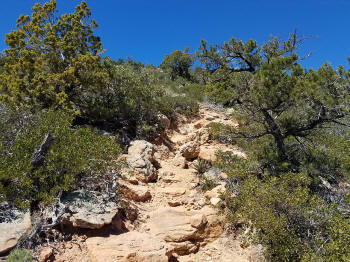 Bear Mountain Trail - Section 3 - Ascent to the Final Trail Peak - 505