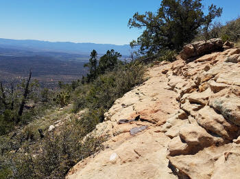 Bear Mountain Trail - Section 3 - Ascent to the Final Trail Peak - 508