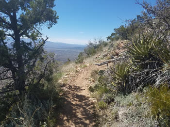 Bear Mountain Trail - Section 3 - Ascent to the Final Trail Peak - 512