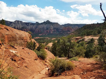 Hog Heaven Trail - Descent - Picture 16