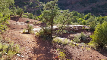 Templeton Trail - Picture 15