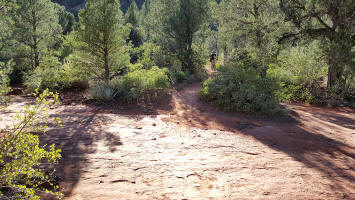 A biker on Templeton Trail - Picture 19