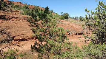 Templeton Trail - Pictue 6