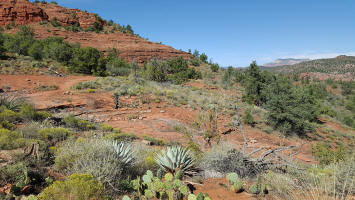 Templeton Tail - Picture 408