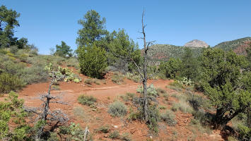 Templeton Trail - Picture 418