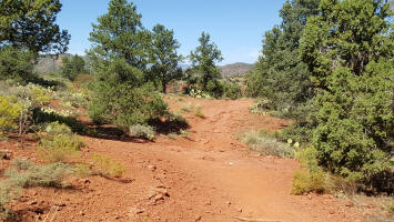 Templeton Trail - Picture 420