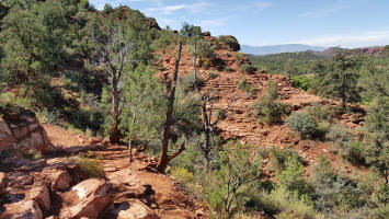 Descending Switchback on Templeton Trail