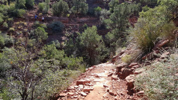 Gowing Down the Swtichback