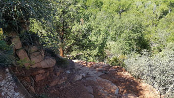 Going Down the Swtichback - Picture 4