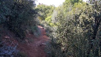 Going Down the Swtichback - Picture 6