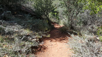 Templeton Trail Leading to Baldwin Trail - Picture 3