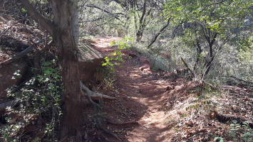 Templeton Trail Leading to Baldwin Trail - Picture 3