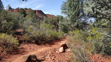 Templeton Trail Leading to Baldwin Trail - Picture 5