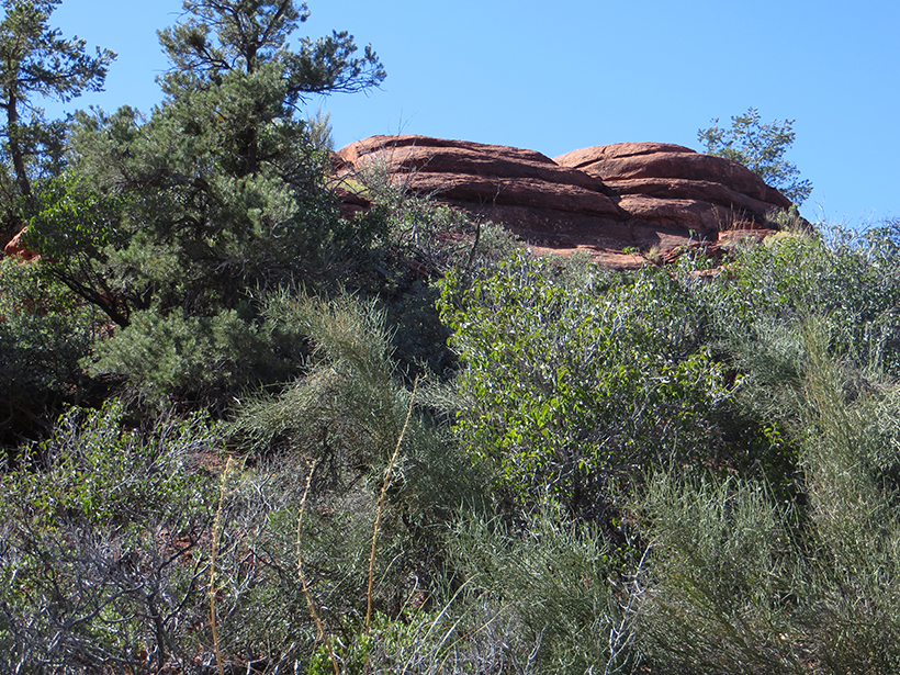 Looking Up at the Western Peak