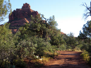 Bell Rock Pathway heading towards Bell Rock