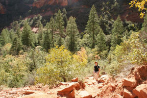 Hiking Down Boynton Canyon Trail