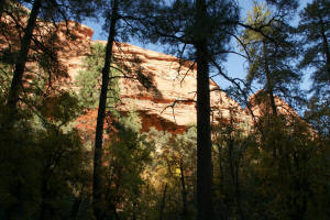Boynton Canyon Trail