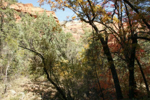 Boynton Canyon Trail