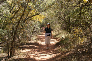 Boynton Canyon Trail