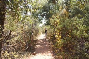 boynton Canyon Trail