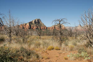 Top of Brins Mesa Looking West