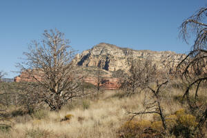 Top of Brins Mesa Looking Northeast