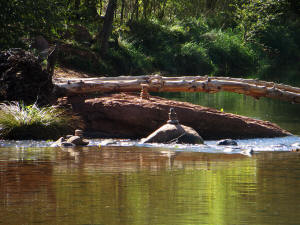 Crescent Moon - Spiritual Area - Stacked Rocks