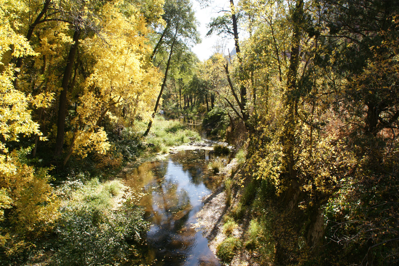 Look Downstream Oak Creek